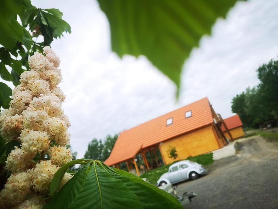 Apartmán Tomajor Vendeghazak Tiszaeszlar Exteriér fotografie