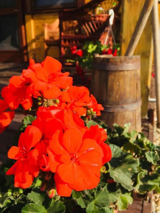 Apartmán Tomajor Vendeghazak Tiszaeszlar Exteriér fotografie