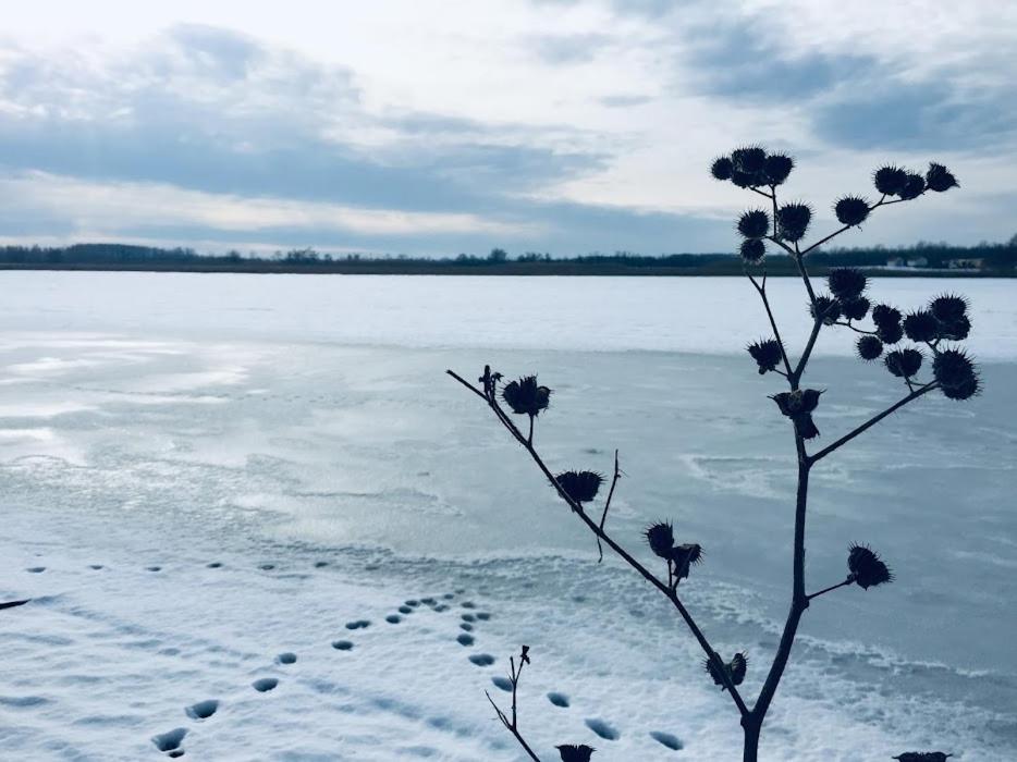 Apartmán Tomajor Vendeghazak Tiszaeszlar Exteriér fotografie